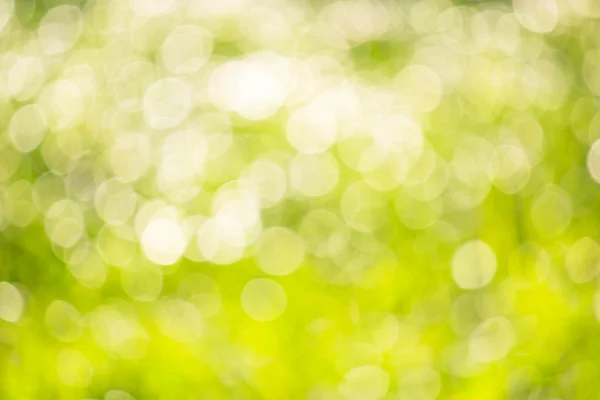 Desfoque seletivo bokeh verde — Fotografia de Stock