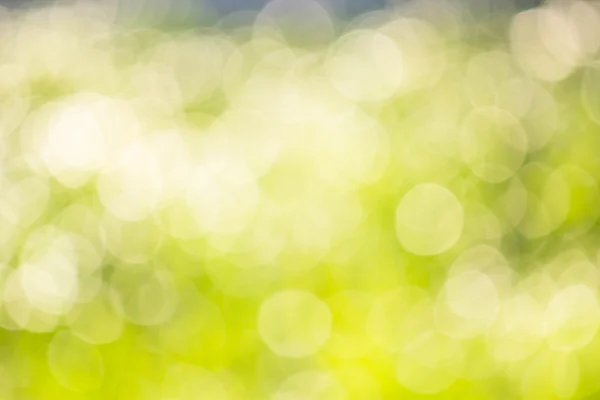 Selective blur green bokeh Stock Image