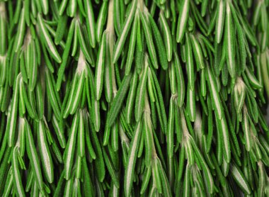 arka plan üzerinde taze biberiye