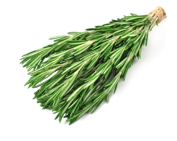 Fresh rosemary on white — Stock Photo, Image