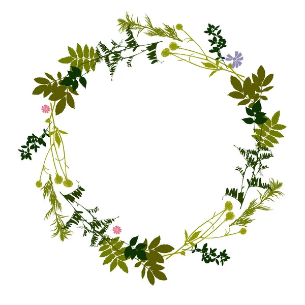 Квіткова Рамка Квіткові Зелені Вінки Лісові Трави Квіти Розташовані Формі — стоковий вектор