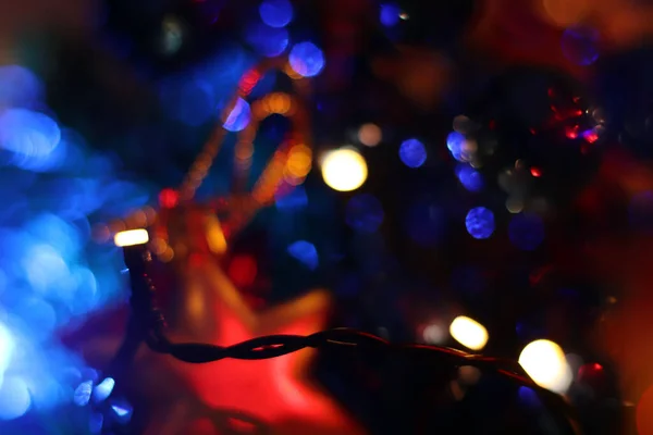 크리스마스 보드카 추상적 휴일은 배경이 불분명하다 크리스마스 트리의 — 스톡 사진