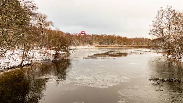 Doğa. Serebryany Bor parkı Moskova 'da. Orman ve su deposu. Resim Köprüsü.