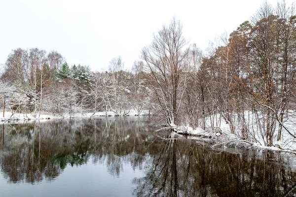 Doğa. Serebryany Bor parkı Moskova 'da. Orman ve su deposu. Resim Köprüsü.