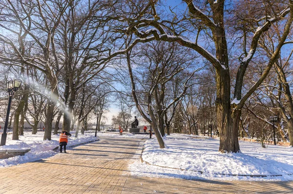 Paseo Por Parque Invierno Ciudad Chernihiv15 — Foto de Stock