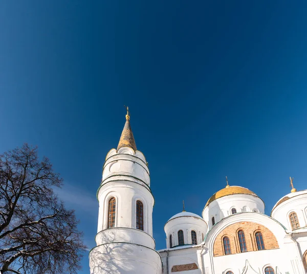 Старая Церковь Городском Парке Чернигов13 — стоковое фото