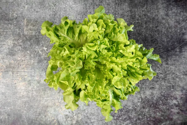 Üst Manzara Yeşil Meşe Marulu 