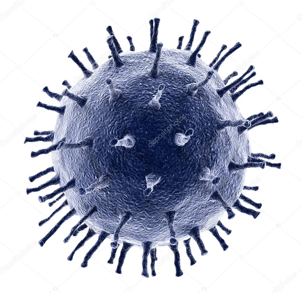 virus or bacteria