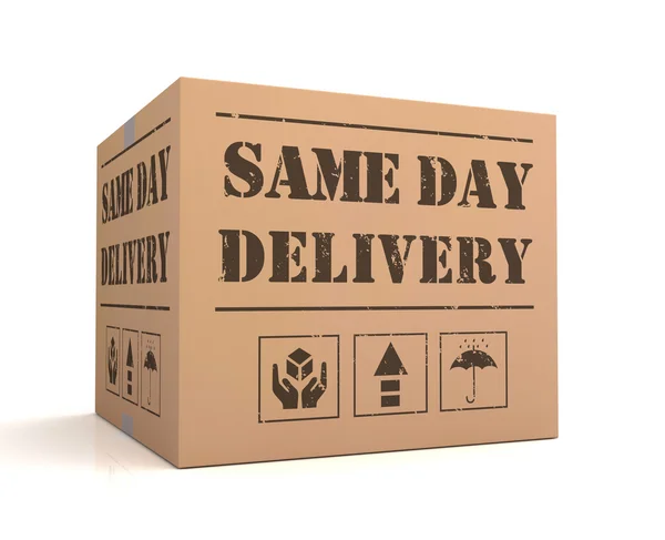 Mismo día entrega caja de cartón concepto 3d ilustración — Foto de Stock