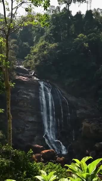 Forest Waterfall Vertical Drone Footage 4K HD Forest Waterfall Vertical Drone Footage 4K HD