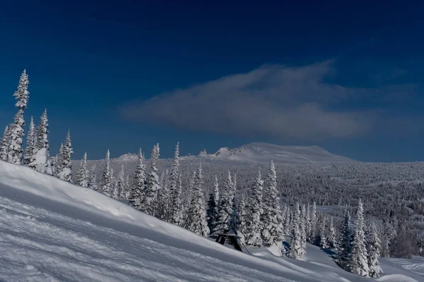 Zonnige Winterochtend Bergen Van Sheregesh Skipiste — Stockfoto