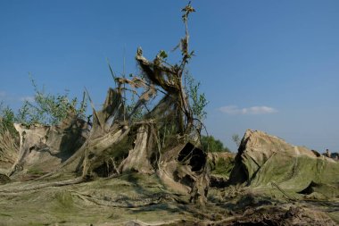 Çamurun kozmik manzarası, su seviyesi düştükten sonra ortaya çıkar.