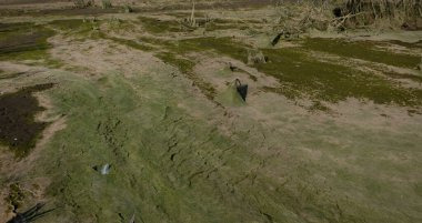 Çamurun kozmik manzarası, su seviyesi düştükten sonra ortaya çıkar.