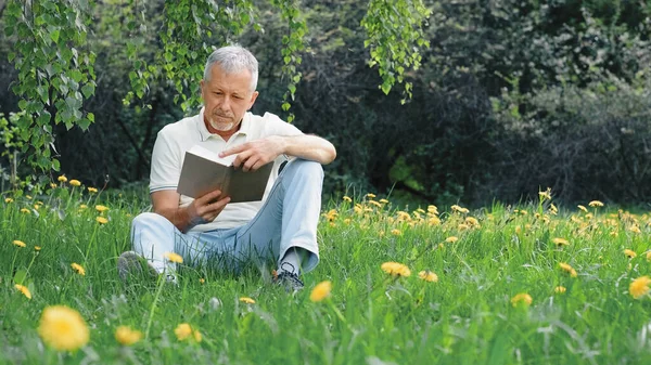 An elderly gray-haired man with a beard, sitting alone on the grass in a natural park among yellow flowers with a book. A healthy elderly pensioner relaxes and enjoys the fresh air on a sunny day.
