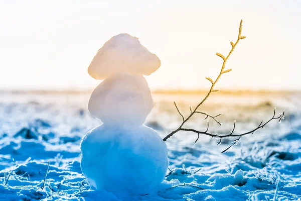 Hombre de nieve con la ramita — Foto de Stock