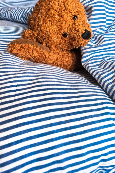 Teddy Bear in Bed — Stock Photo, Image