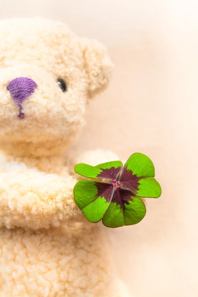 Teddy Bear with Clover Present — Stock Photo, Image