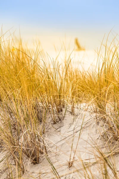 Rustige uitzicht op de zee Horizon — Stockfoto