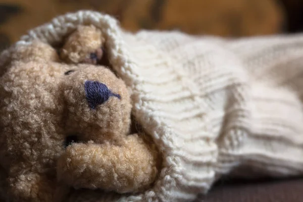 Little Teddy Bear Sleeps Woolen Sock Copy Space — Stock Photo, Image