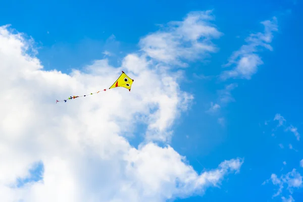 The Kite at the Sky — Stock Photo, Image