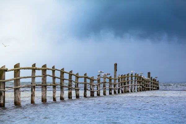Havet staket — Stockfoto
