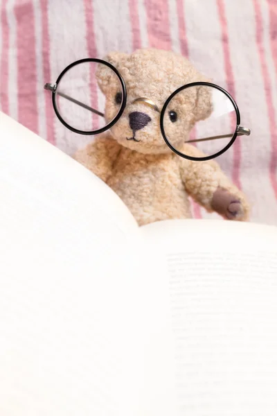 Čtení medvídek s brýlemi — Stock fotografie