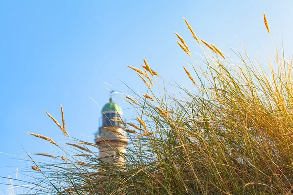 Grama de praia e farol na luz do sol — Fotografia de Stock