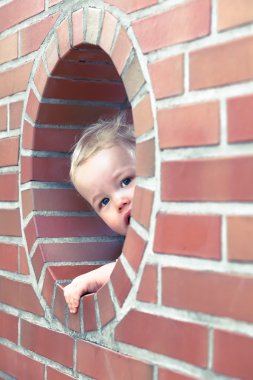 Küçük meraklı çocuk