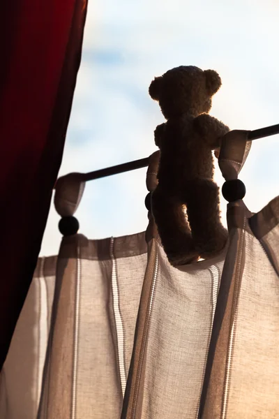 Teddy Look Out of a Window — Stock Photo, Image