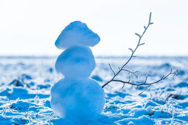 Snowman With Frozen Branch — Stock Photo, Image