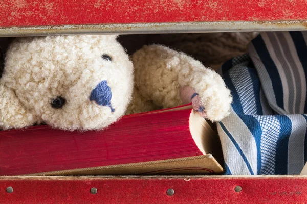 In the Suitcase — Stock Photo, Image