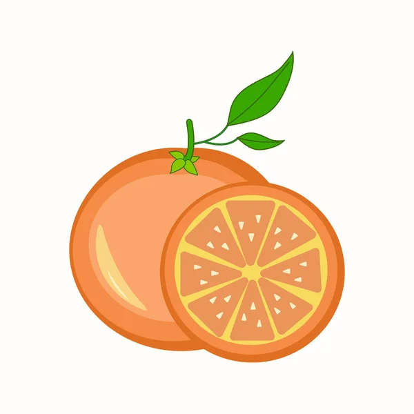 白い背景にスライスと全体のオレンジ — ストックベクタ