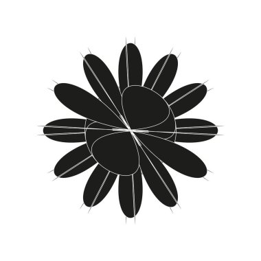 Aydınlık arkaplanda beyaz çizgili siyah çiçek izole edildi