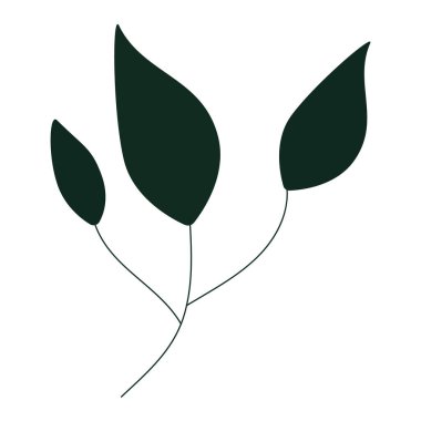 Web tasarımında kullanılmak üzere koyu yeşil bir dal üzerinde üç yaprak