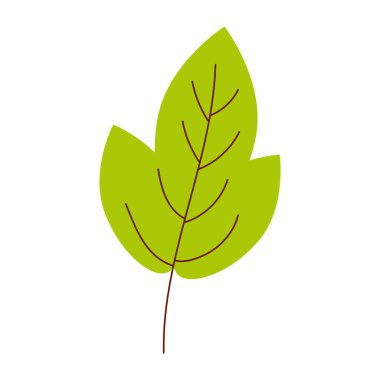 Şarjör sanatında veya web tasarımında kullanmak için beyaz arkaplanda bir yeşil yaprak