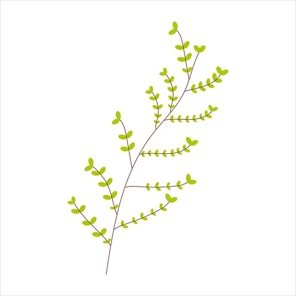 Rama verde con hojas sobre fondo blanco para su uso en clip art o diseño web — Archivo Imágenes Vectoriales