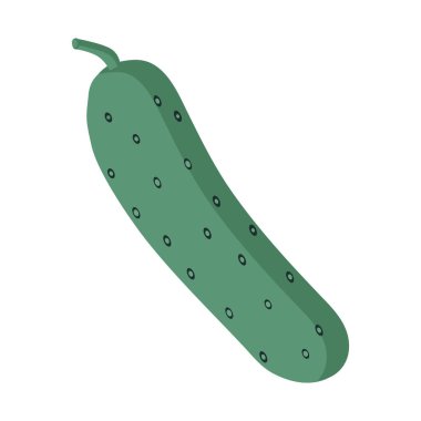 Şarjör sanatında veya web tasarımında kullanılmak üzere beyaz arkaplanda bir yeşil salatalık