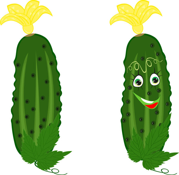 Funny cucumbers