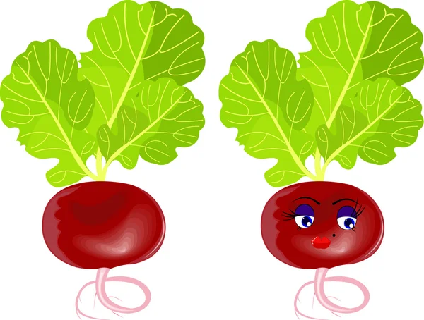 Vegetable radish — Stock Vector