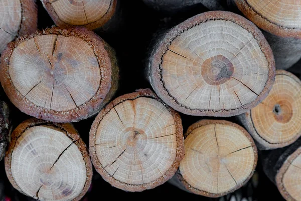 Tło drewnianych okrągłych pierścieni — Zdjęcie stockowe