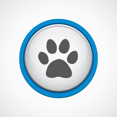 kedi ayak izi mavi kontur ICO ile parlak