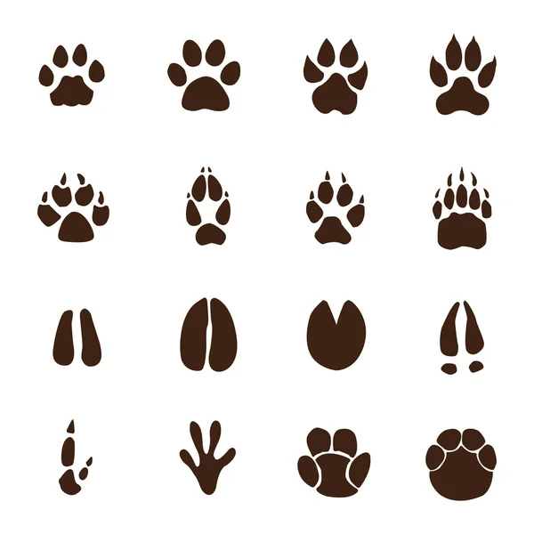 Animals footprint — Stock Vector