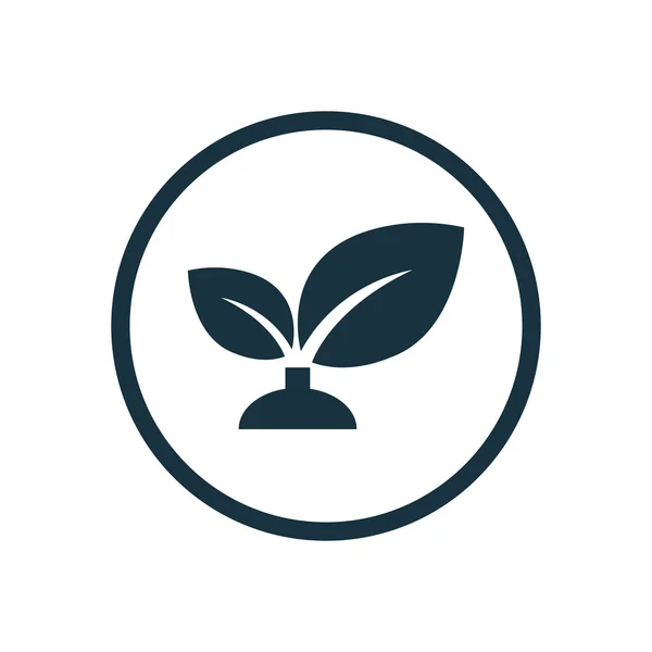 Plant circle background ico — Stock Vector