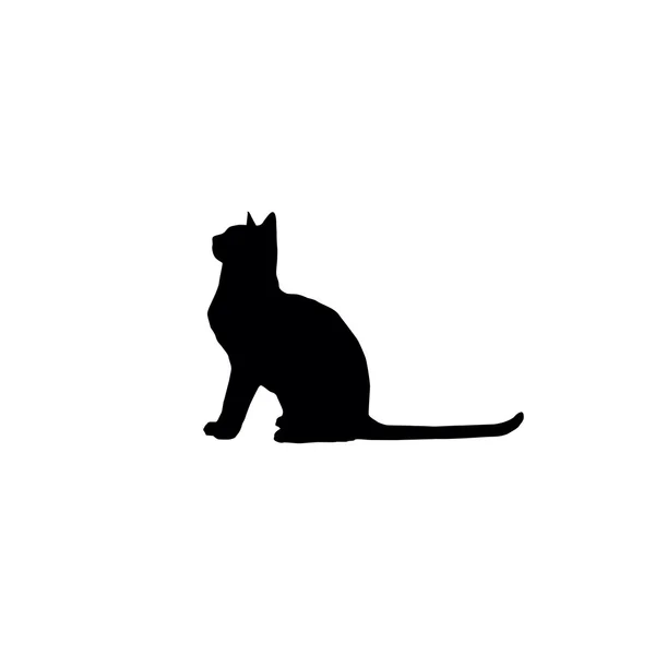猫的轮廓 — 图库矢量图片