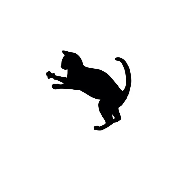 Cat silhouette — Stock Vector