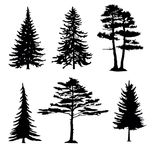 Coniferous trees silhouettes, collectio — Stock Vector
