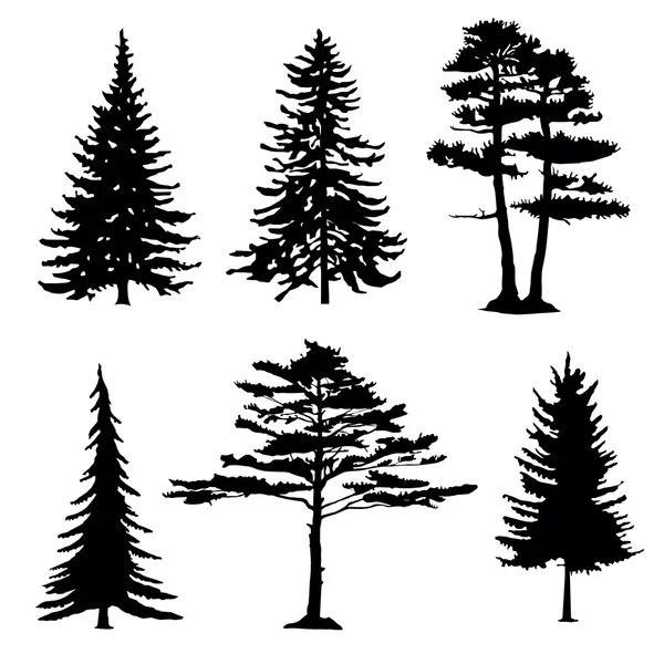 Coniferous trees silhouettes, collectio — Stock Illustration Coniferous trees silhouettes, collectio Stock Vector