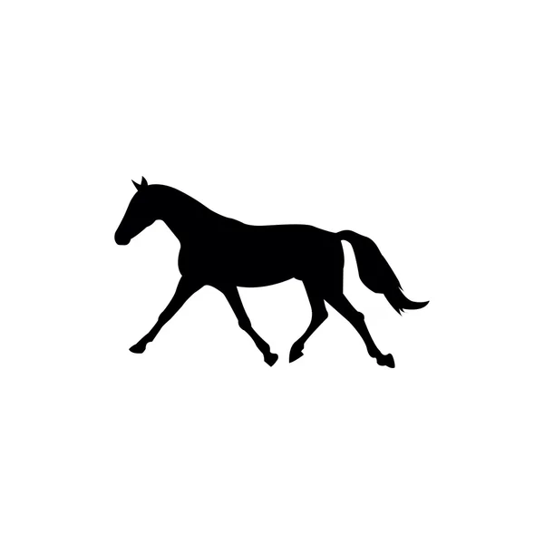 Silueta de caballos — Vector de stock