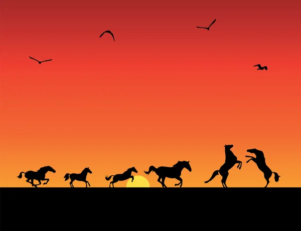 Silhouetten von Pferden, Sonnenuntergang — Stockvektor