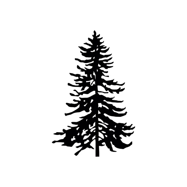 Coniferous trees silhouette — Stock Vector